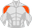 Shoulders