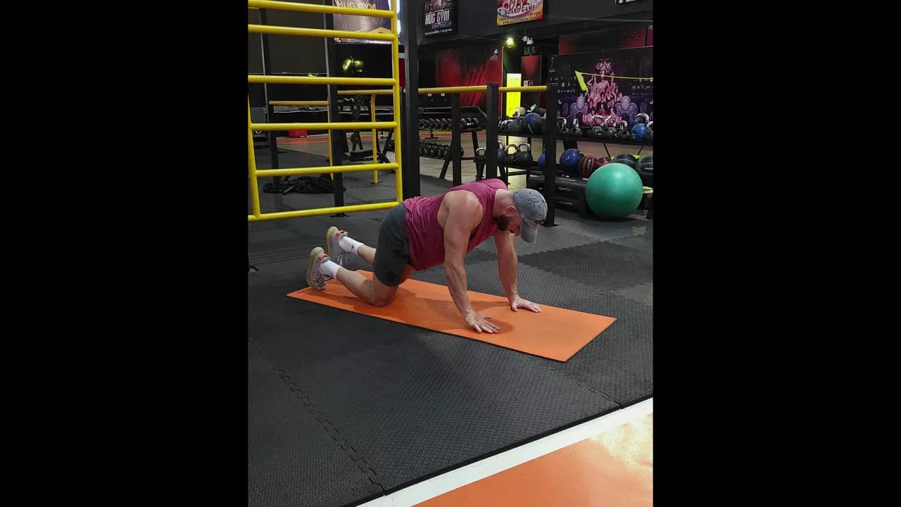 Bird Dog exercise