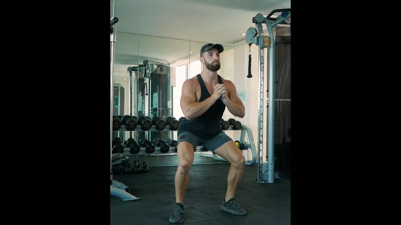 Bodyweight Squat exercise