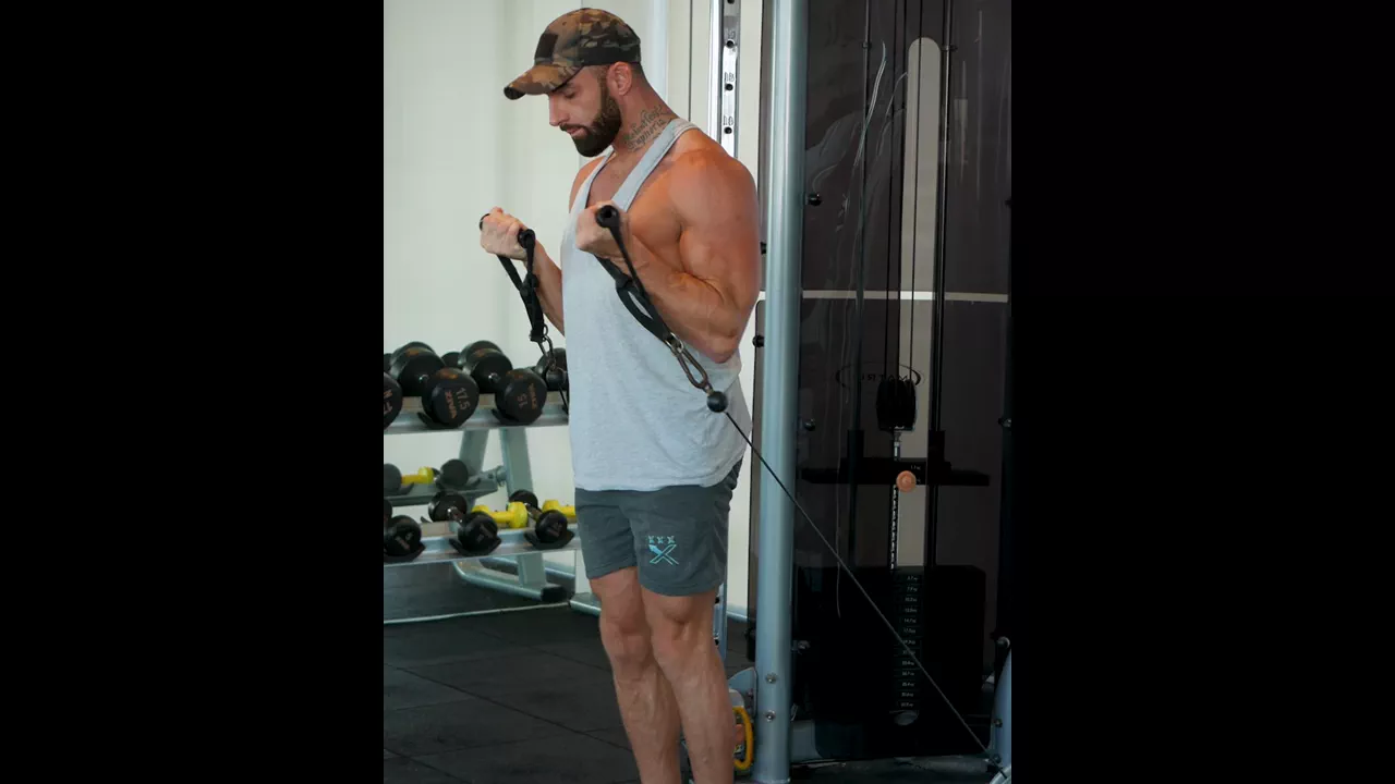Cable Bicep Curl exercise
