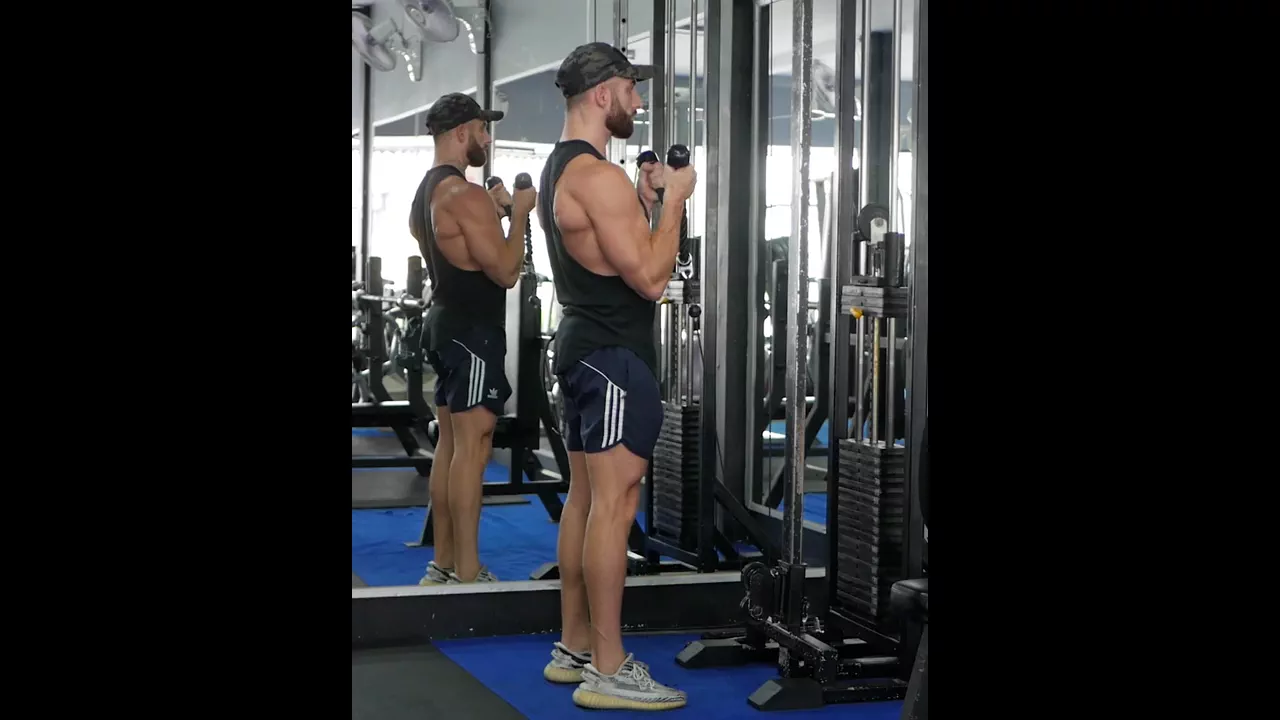 Cable Hammer Curl exercise