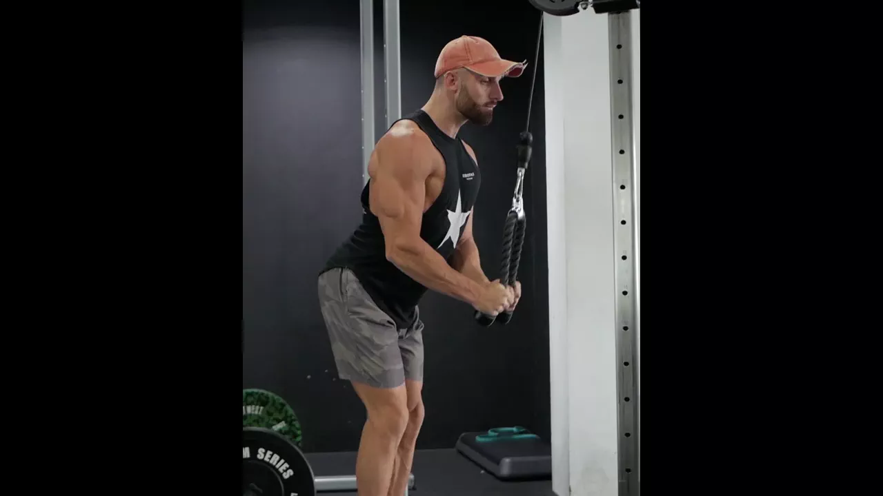 Cable Tricep Pushdown (Rope) exercise