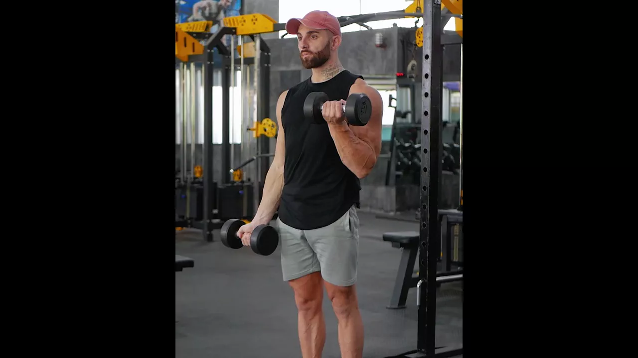 Dumbbell Bicep Curl exercise