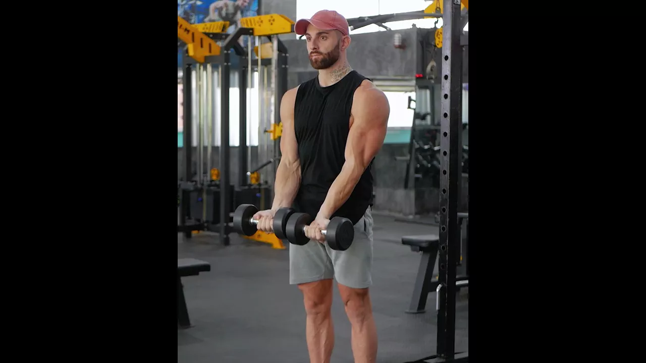 Standing Dumbbell Bicep Curl exercise