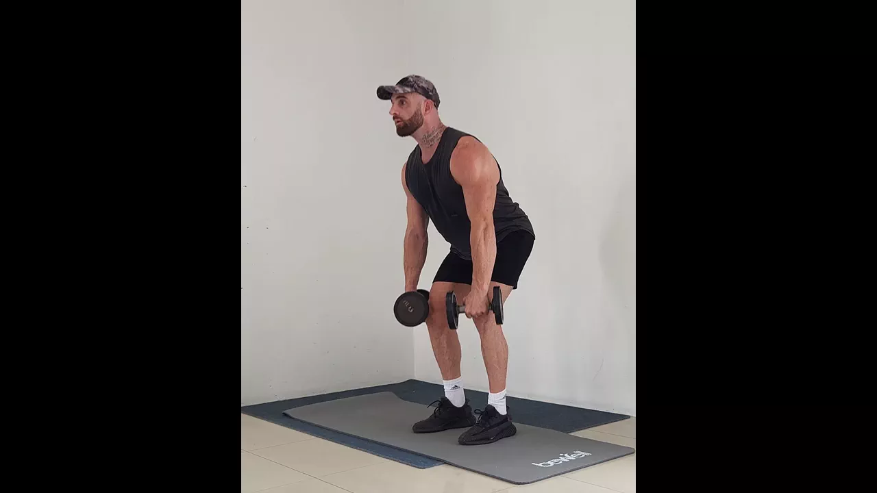 Dumbbell Deadlift exercise