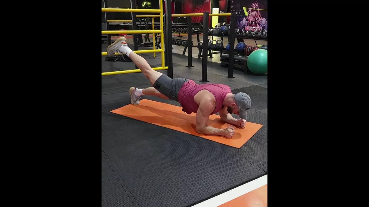 Plank Leg Raise exercise
