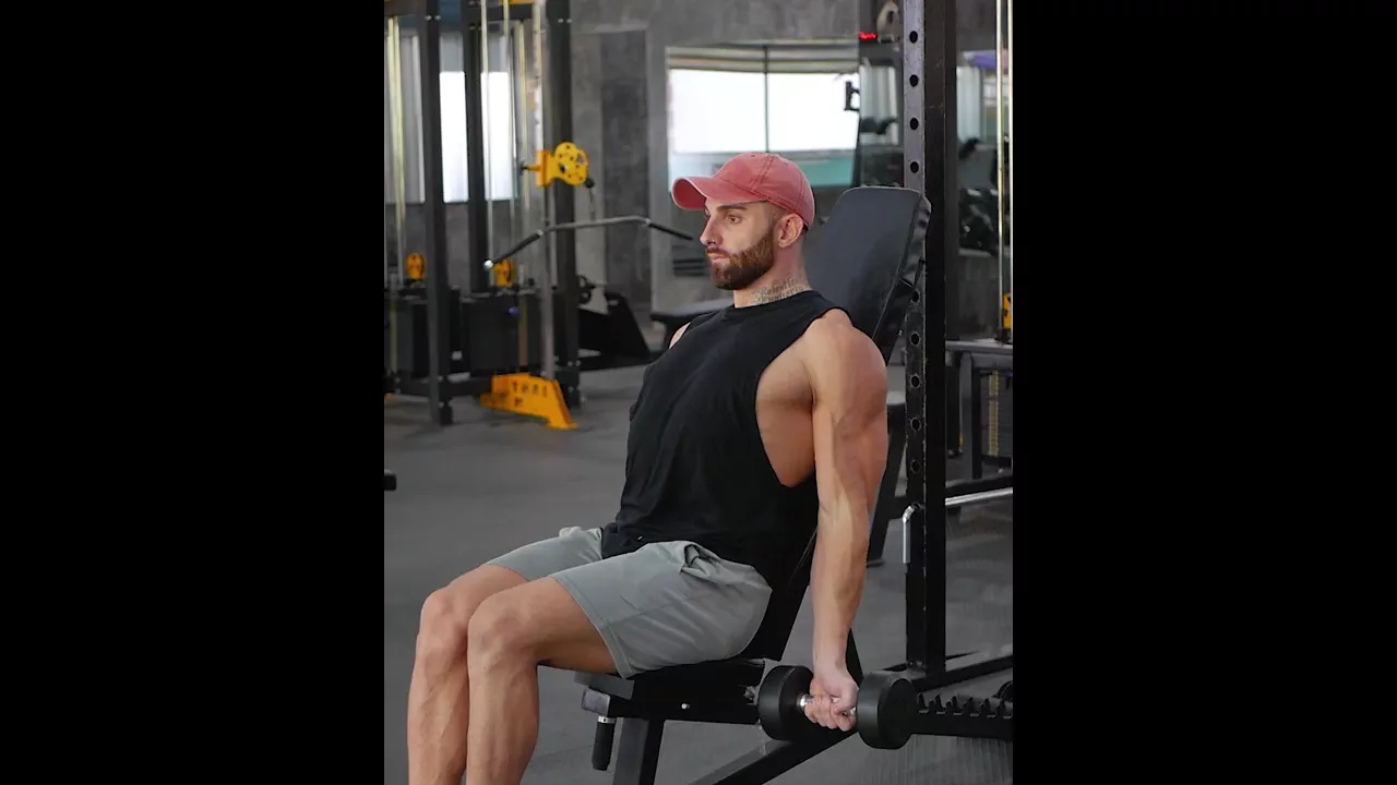 Seated Incline Dumbbell Curls exercise