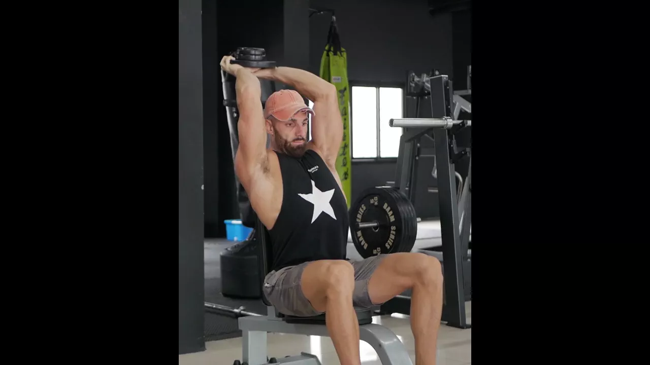 Seated Dumbbell Overhead Tricep Extension exercise
