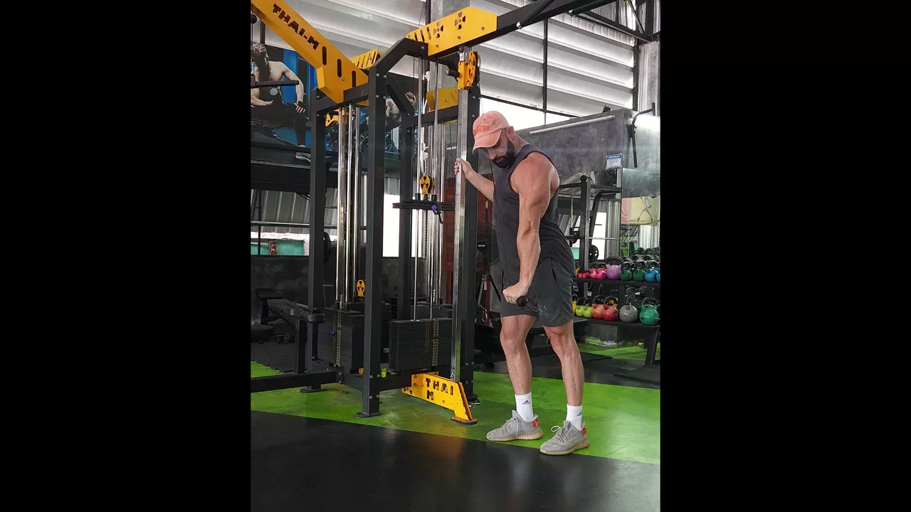 Single-Arm Cable Tricep Pushdown exercise