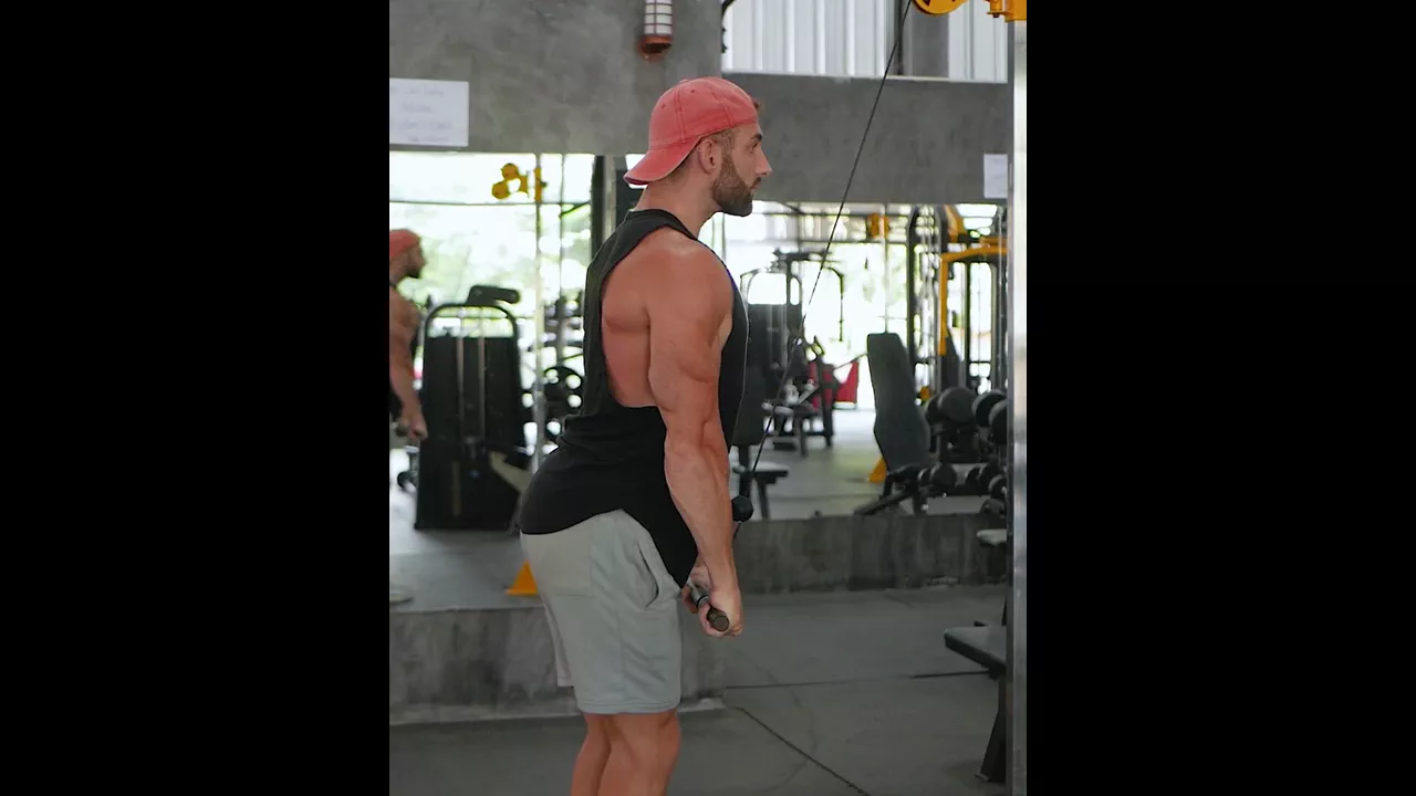 Cable Tricep Pushdown exercise